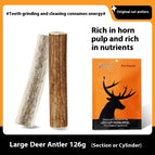 Antler / L