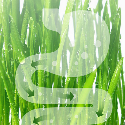 8d33407ec79e0ebeafc823f5ab750a48